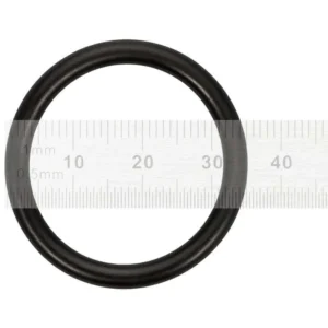 Guarnizione del gruppo scalare per macchine da caffè Saeco